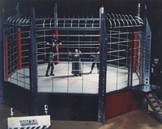 OCTAGON MODEL CAGE